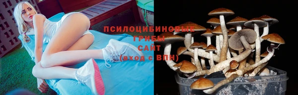 прущие крисы Алексин