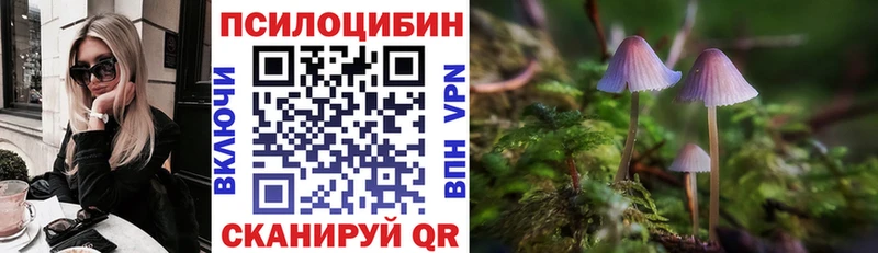 мориарти как зайти  omg зеркало  Приозерск  закладка  Галлюциногенные грибы GOLDEN TEACHER 